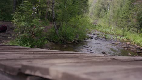 hiking through the forest over a rustic wooden bridge