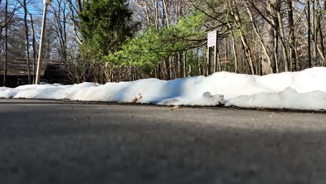 the entrance to a hiking trail during an unusually warm winter day