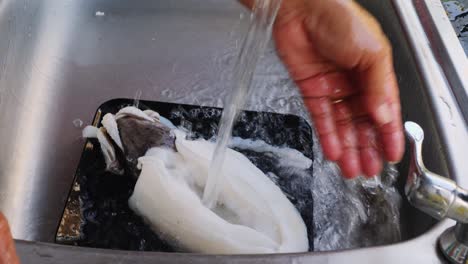 el chef enjuaga los calamares frescos en el fregadero y abre la cabeza en rebanadas