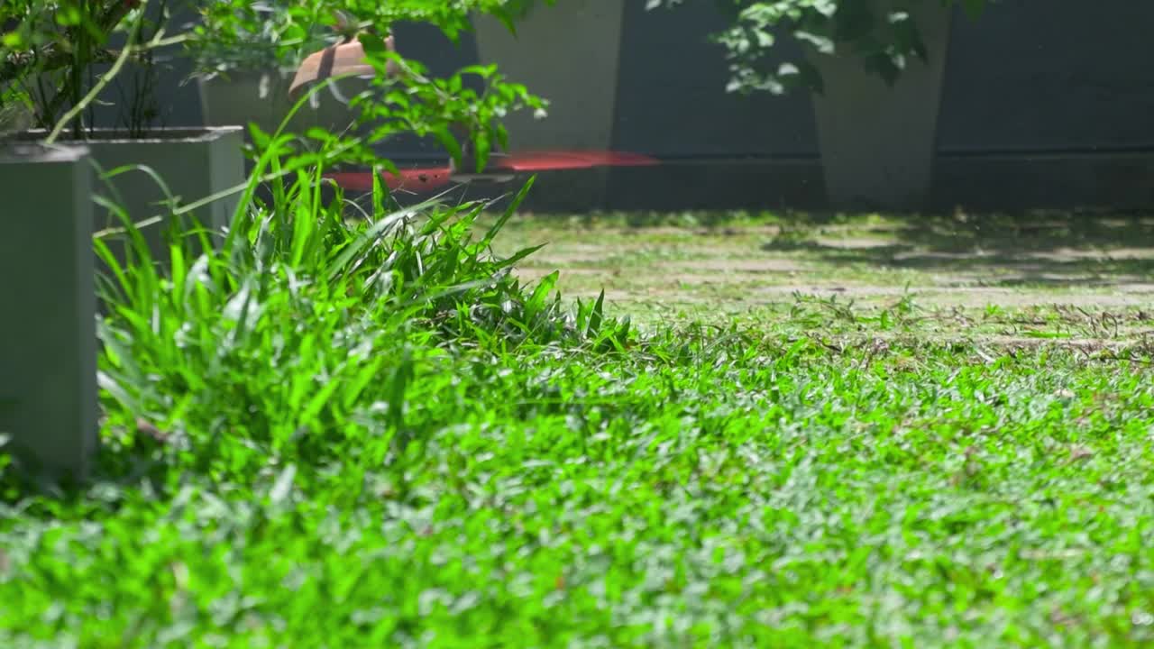 Operating a Brushcutter machine in the garden close up slow motion clip