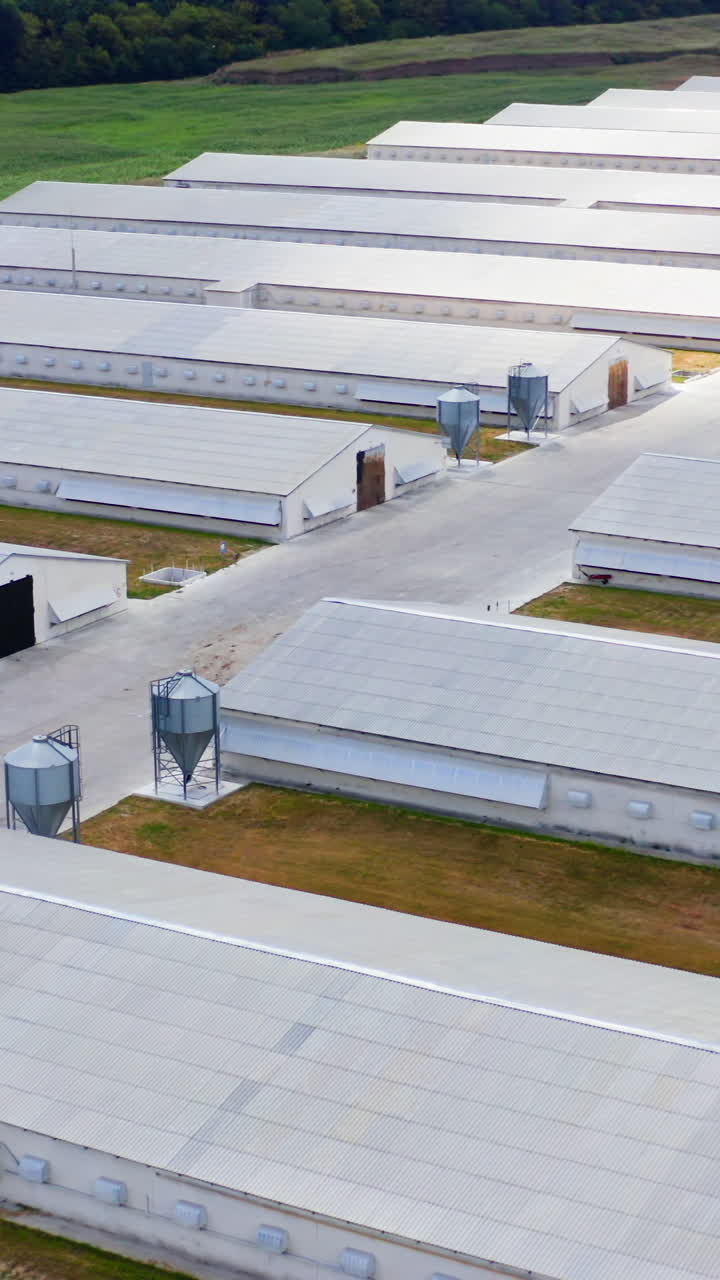 Modern agriculture on field. Rows of white farm houses for livestock. Large territory of a farm with many barns and warehouses. Top view. Vertical video