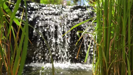 small waterfall in a natural setting
