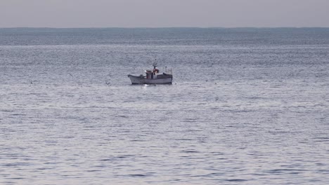 Möwen-Fliegen-Um-Ein-Fischboot-Herum,-Das-Im-Ozean-Schleppt