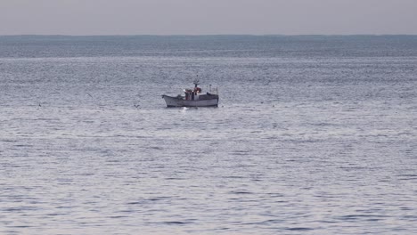 las gaviotas vuelan alrededor de un barco pesquero pescando en el océano