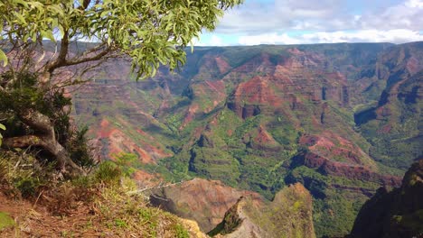 4k hawaii kauai boom down y pan de izquierda a derecha desde el árbol hasta el cañón de waimea con cielo parcialmente nublado