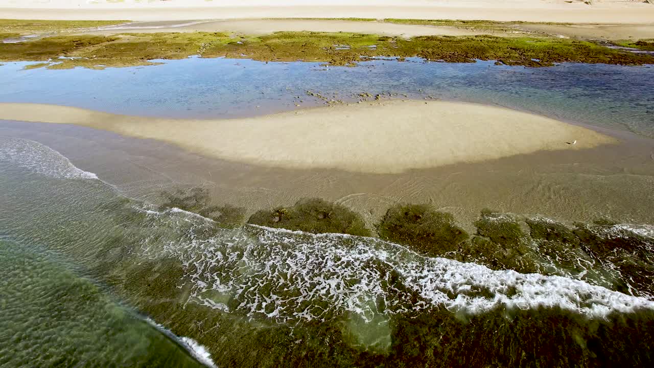 공중, 파도가 굴러가는 하나의 외로운 갈매기는 캘리포니아 만, 록키 포인트, 푸에르토 페나스코, 캘리포니아 만, 멕시코의 모래톱에 앉아 있습니다