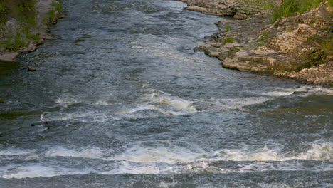 wildwasser-stromschnellen, die entlang eines malerischen flusses fließen