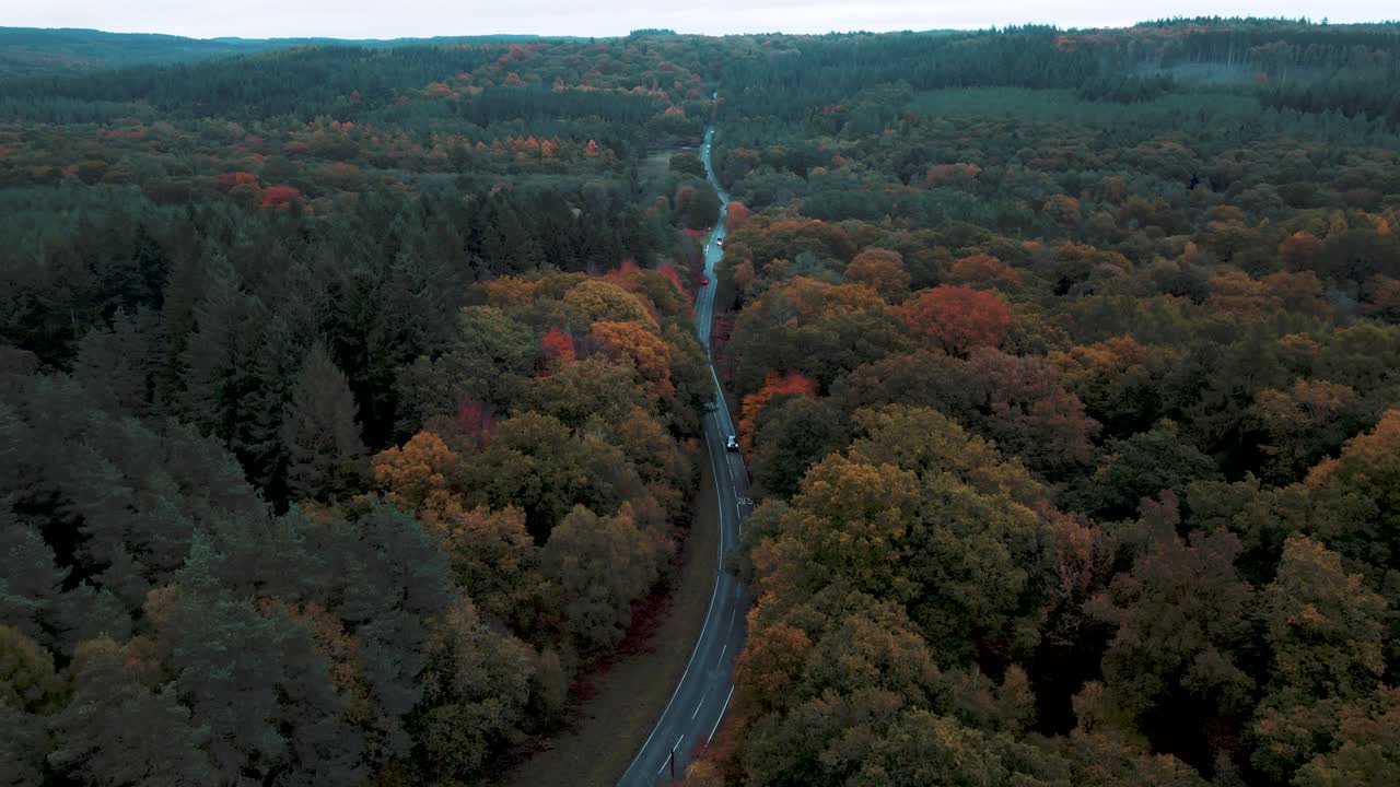Dronebillede, der glider over en vej, som krydser Forest of Dean om efteråret med fantastiske røde, orange og grønne farver samt blandede skovfarver