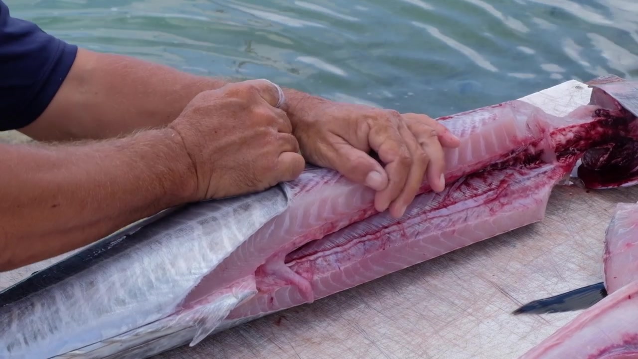 Fisherman removing skin of freshly caught tropical Wahoo fish outside on jetty in Caribbean, close up