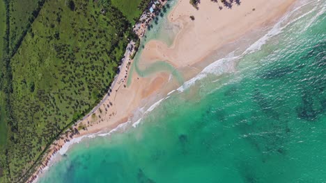 crystal clear caribbean sea with sandy beach and river mouth on tropical island. vertical drone top down. palm trees in luxury area of dominican republic. playa la entrada, maria trinidad sanchez.