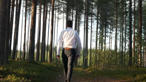 man walking through a lush pine forest