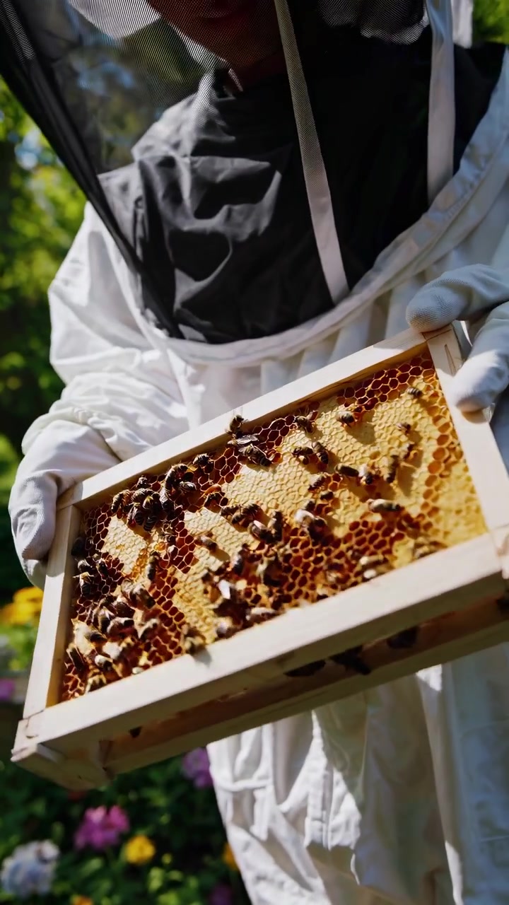 Beekeeper Inspecting Honeycomb Frame in Sunny Garden