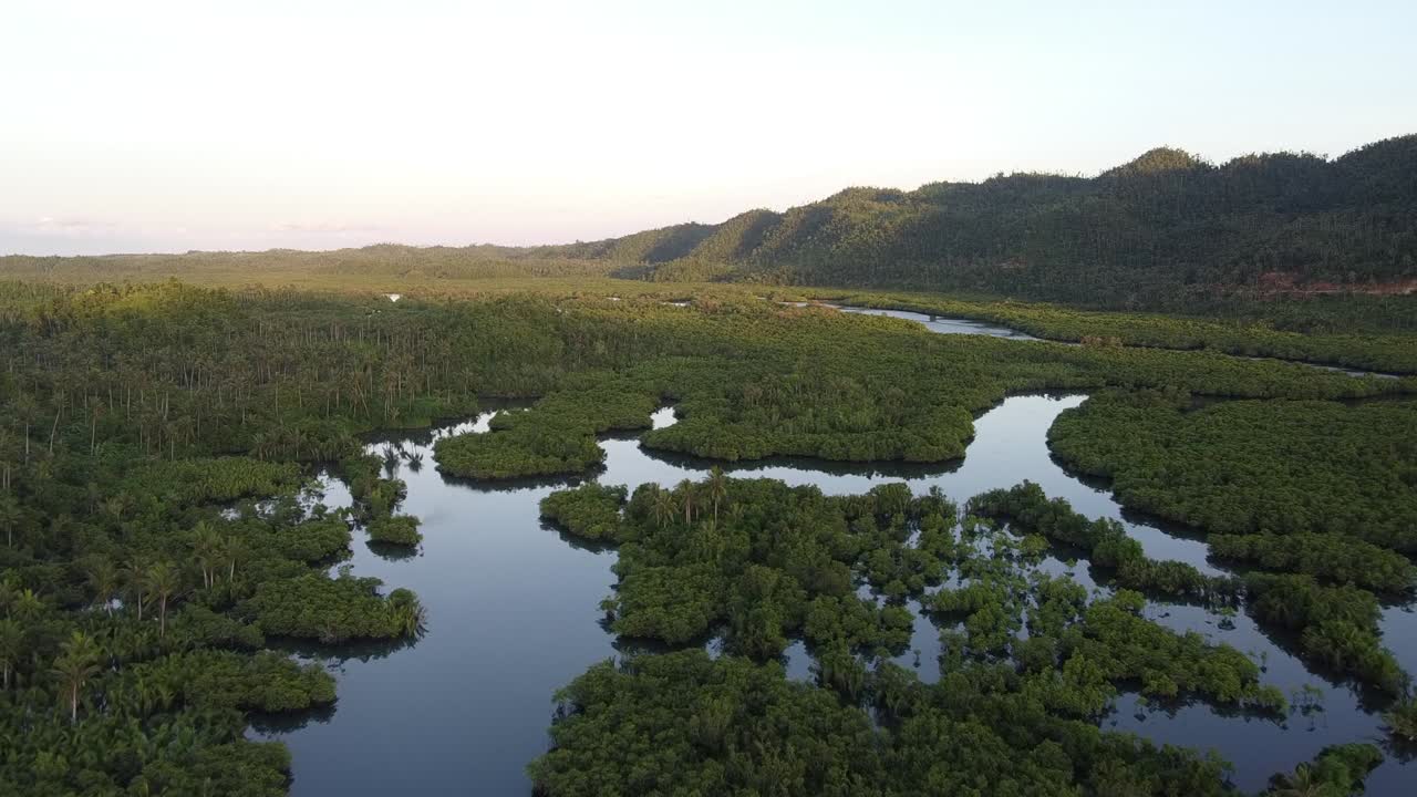 시아르가오 섬 의 마신 강 은 울창 한 열대 풍경 에서 코코 ⁇   ⁇  나무 숲 과 망그로브 습지 를  ⁇ 고 흐르고 있다