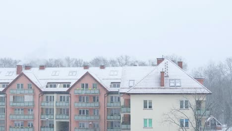 winter in the city suburb (loop)