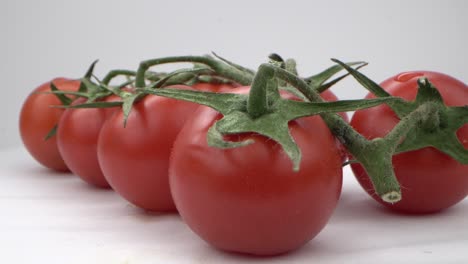 tomates frescos en la vid sobre un telón de fondo blanco