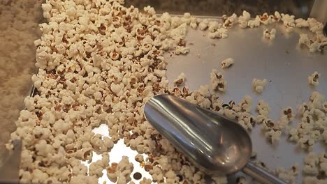 wide shot with few fresh popcorn, made in an industrial popcorn machine