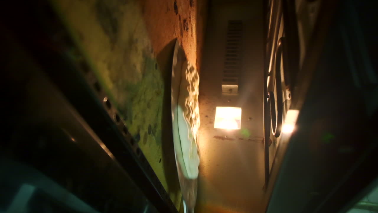 오븐에서 피자를 는 것