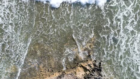 coastal rocks and waves crashing with algae - daytime - aerial bird's eye view overhead shot
