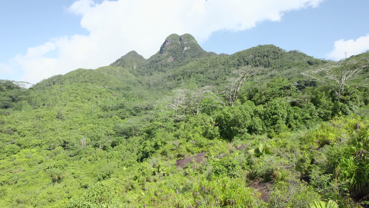 tiro de drone cerca de roca de granito que muestra la montaña más alta de seychelles- morn seychellois