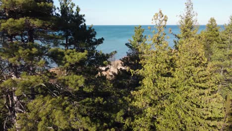 drone flyover treetops toward niagara glen nature reserve coastline sand dunes, canada