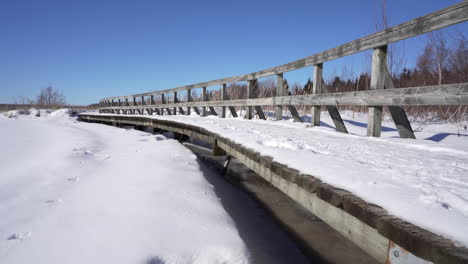 Tiro-Panorámico-Por-Un-Puente-En-Un-Parque-Natural