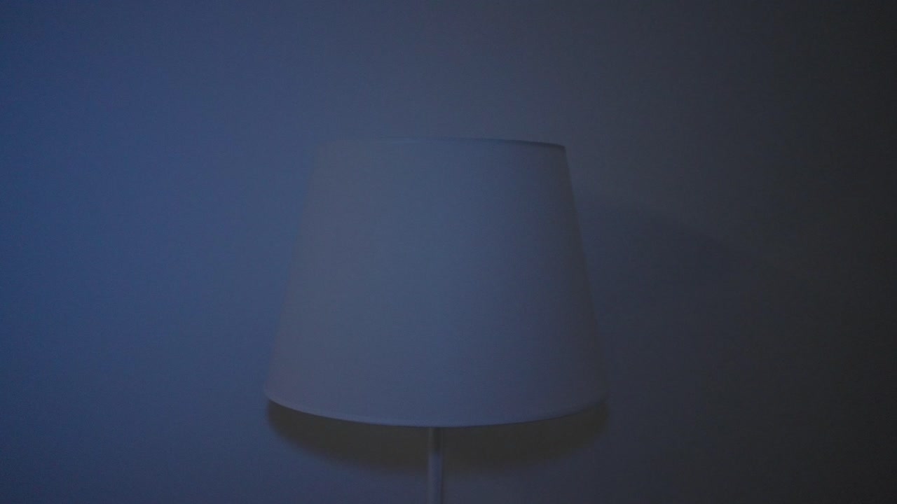 다양한 색조의 램프