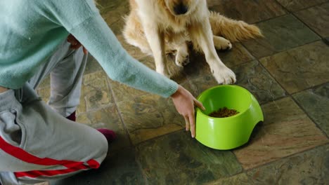 mujer alimentando a su perro en casa 4k