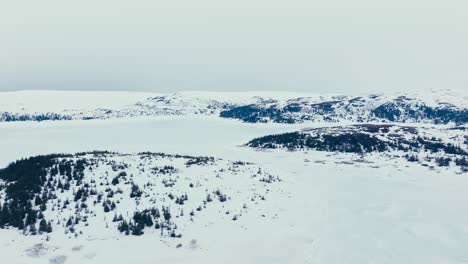 Snowy-Mountainside-Landscape-With-Forest-Trees-In-Winter-In-Indre-Fosen,-Norway