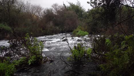 Jordan-River-Tel-Dan-Israel-Biblische-Stätte