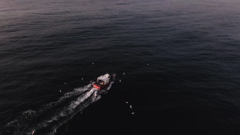 aerial view passing above boat with birds flying around travelling across tranquil ocean waves