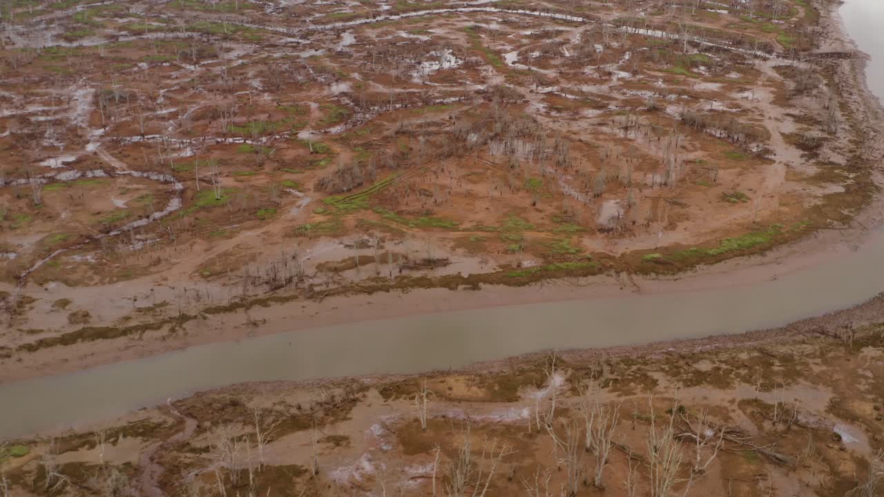 Aerial flyover of wetland ecosystem, medium shot, detail