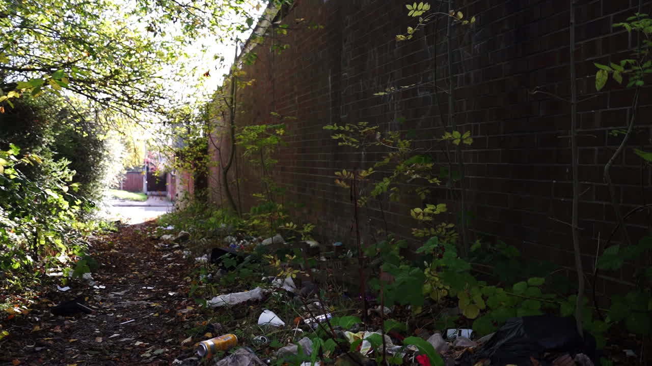 파리를 버린 후의 폐기물, 쓰레기 투기, 유해 폐기물, 쓰레기 투기, 파리 투기