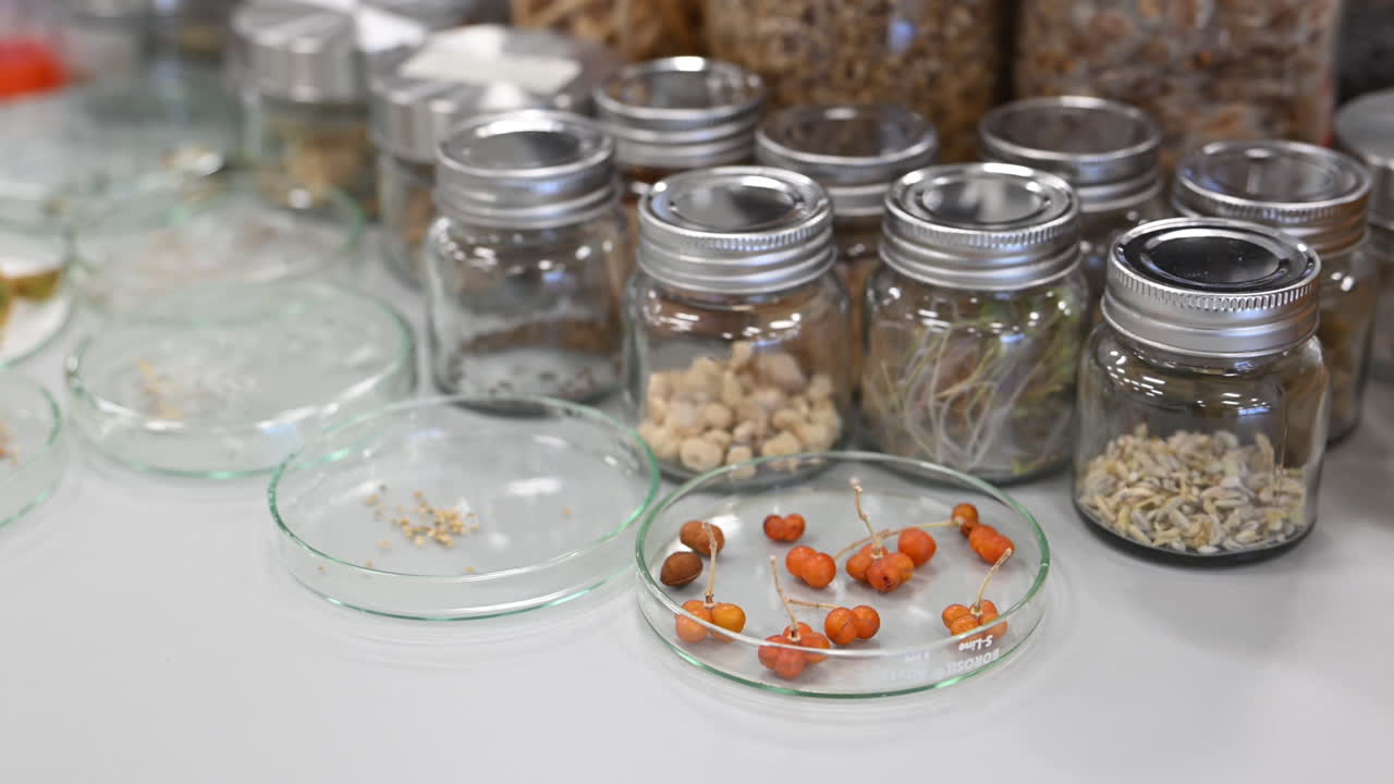 A wide variety of plants and seeds are preserved at the Plant Preservation Centre in the UAE