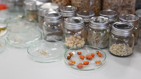a wide variety of plants and seeds are preserved at the plant preservation centre in the uae