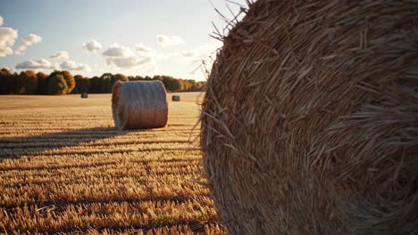 low-angle video frame of hay bales in a sunlit field, capturing the texture and warmth of autumn