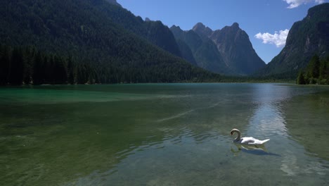 Lake-Dobbiaco-in-the-Dolomites,-Italy