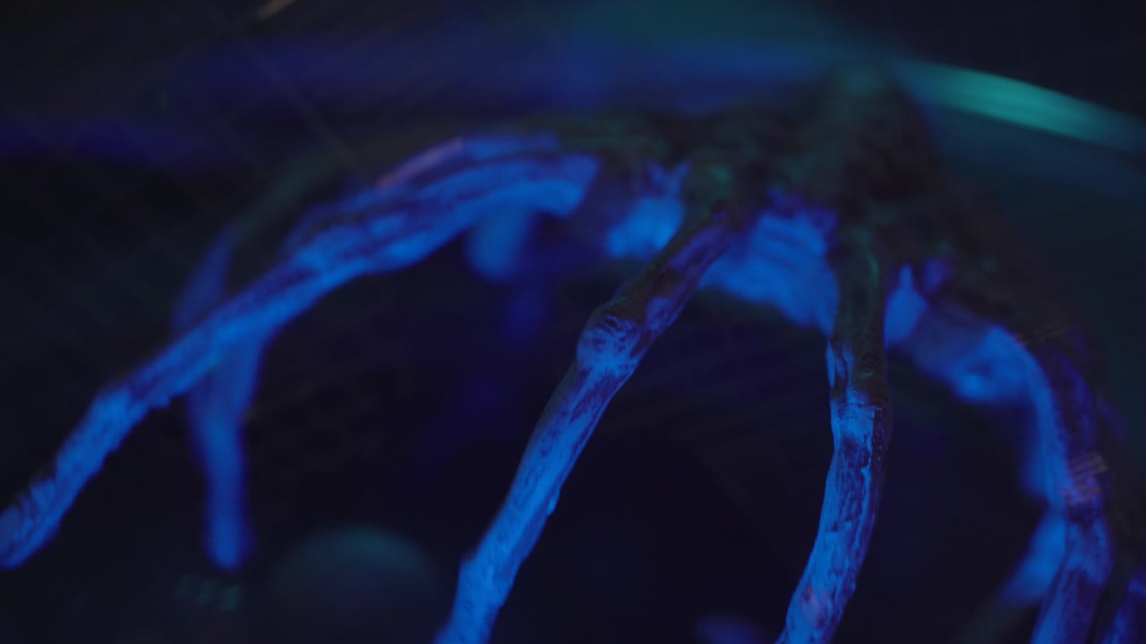Mano scheletrica luminosa e inquietante