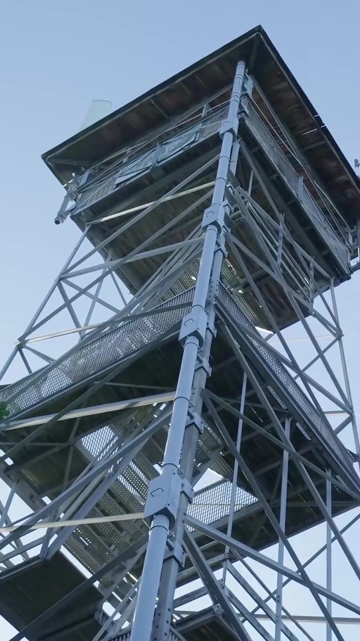 Low Angle View of Observation Tower Through Green Tree Branches