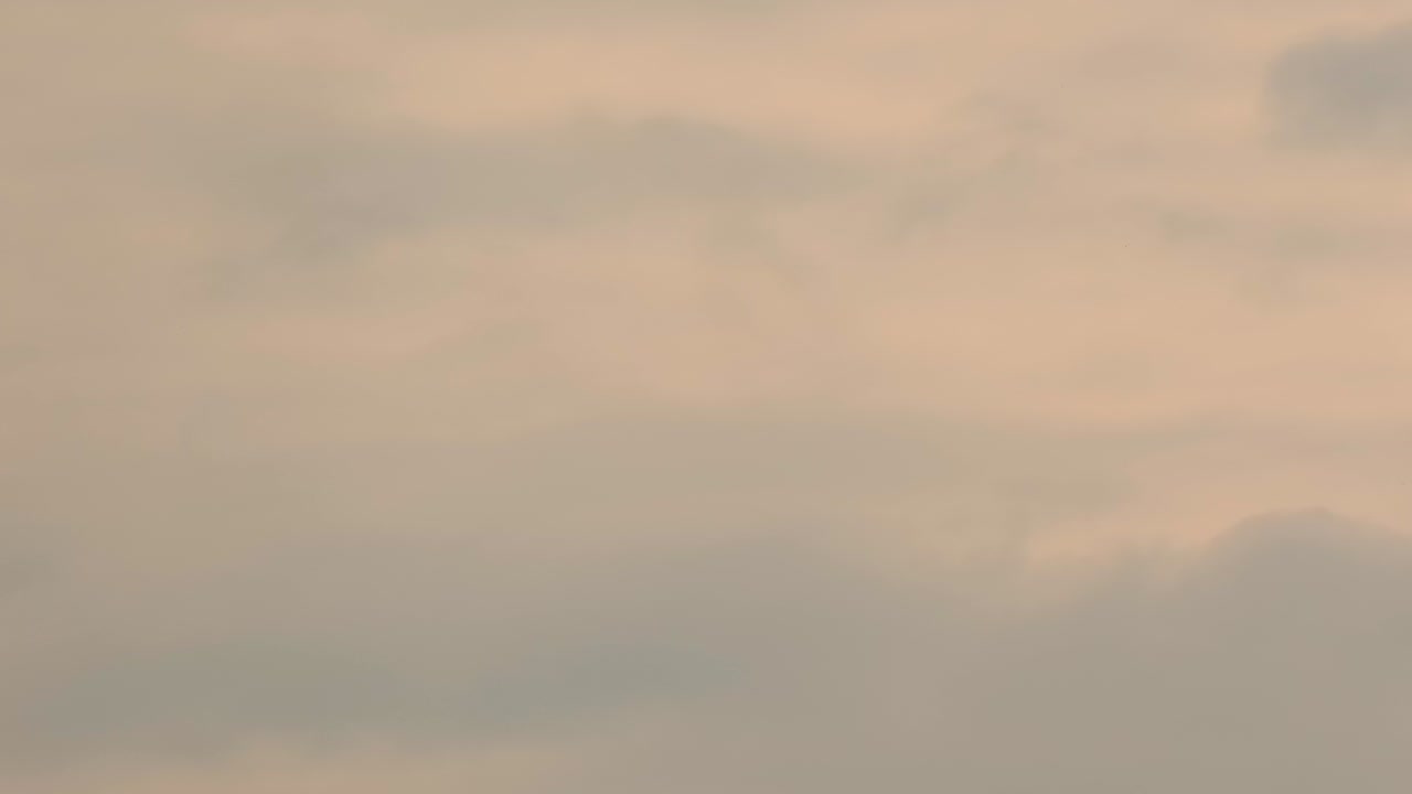 해가 뜨는 동안 활기찬 하늘을 향해 날아다니는 독수리