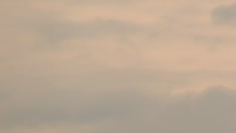 eagle flying against the vibrant sky during sunrise