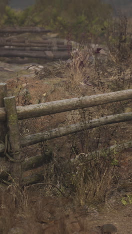 rustic countryside fence