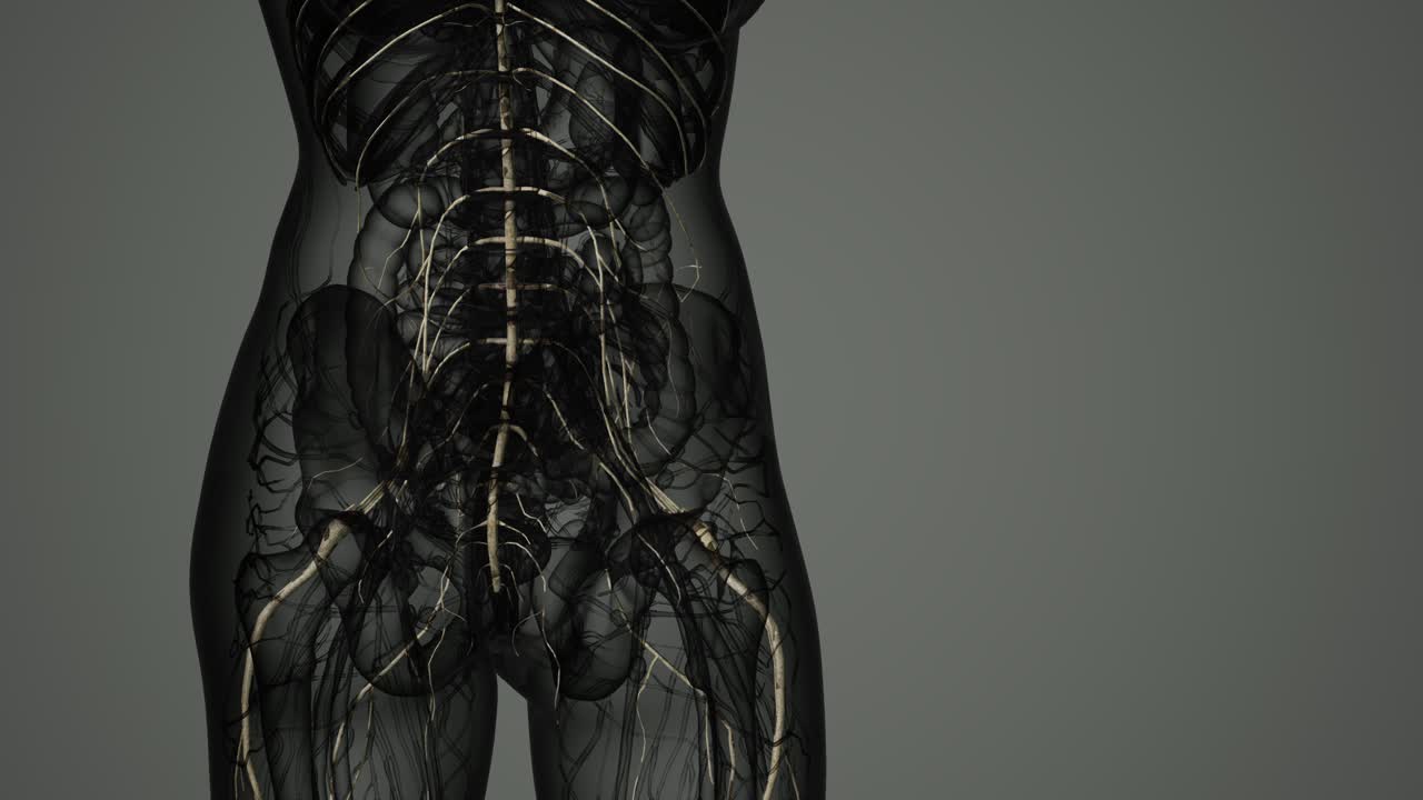 и нервной системы человеческого мозга