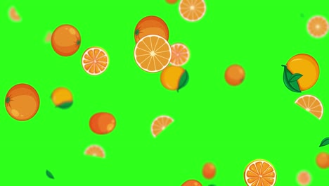 naranjas caídas y rebanadas de naranja en la pantalla verde