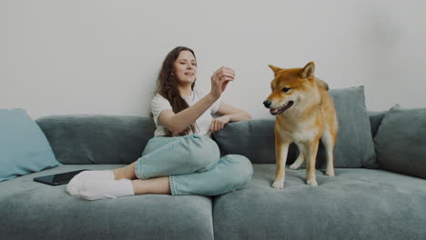 Linda-Chica-Acariciando-Y-Alimentando-A-Su-Perro-En-Casa-2