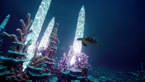 underwater coral reef with sea turtles and artificial structures