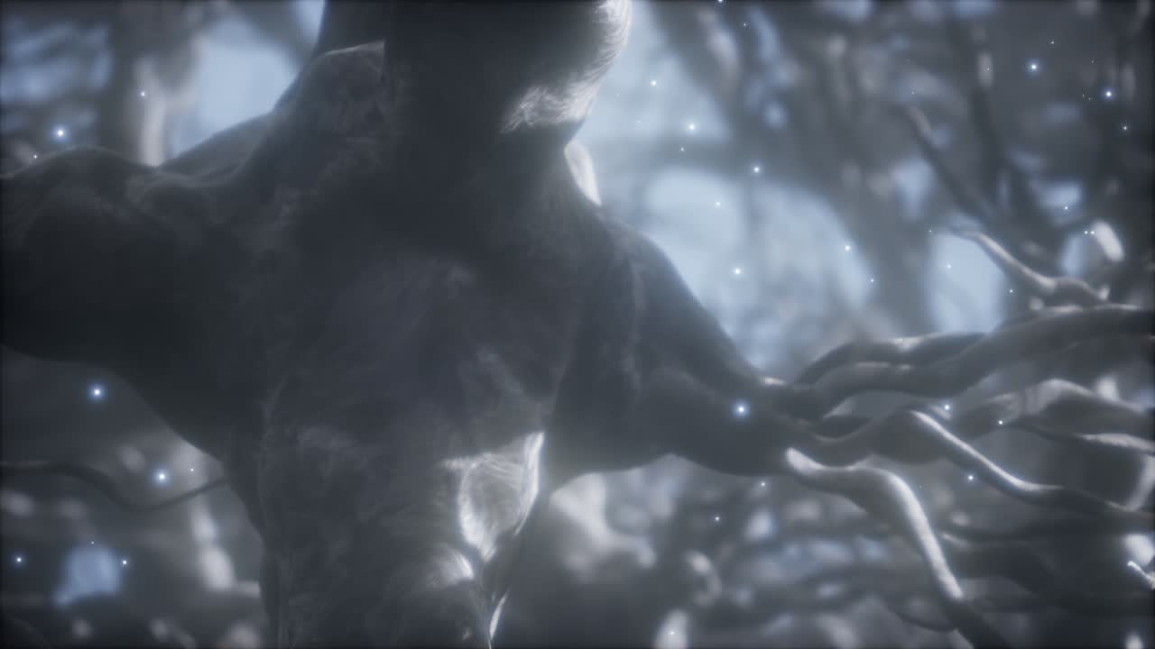 뇌 안의 신경 세포 네트워크를 통해 여행합니다.