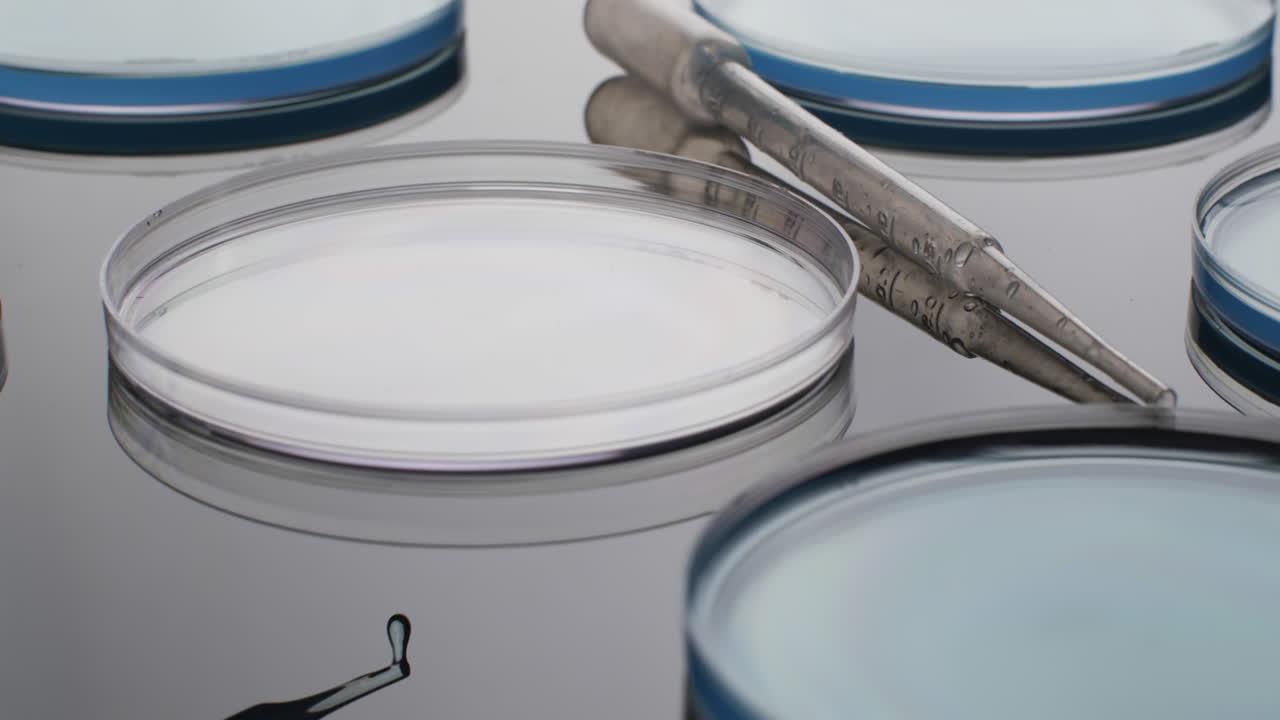 vídeo de primer plano de la pipeta de laboratorio y los platos de vidrio con espacio de copia sobre fondo blanco
