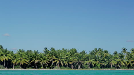 tropical scene with huge palms and blue sea