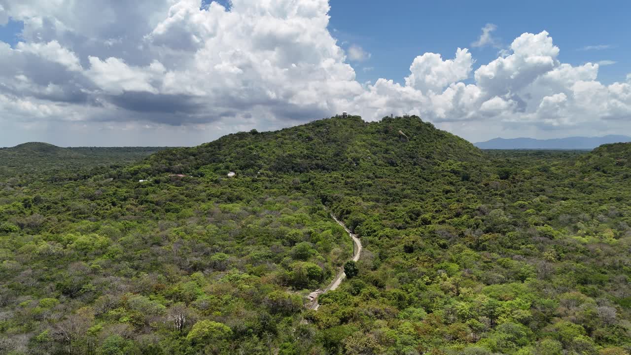 Vista aerea della foresta a Ho Tram nel pomeriggio