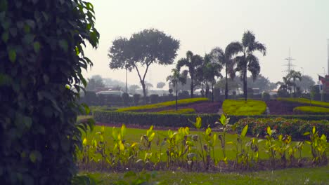 Beautiful-crafting-of-plants-in-the-Garden,Tall-palm-trees-and-electric-high-voltage-poll-at-the-back,-Traffic-is-going-on-Roads-at-the-back-of-the-park